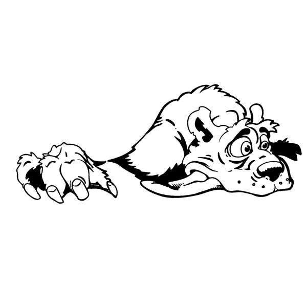 bear72 Thumbnail