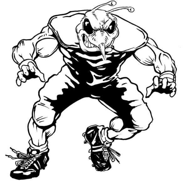 befb03 Thumbnail