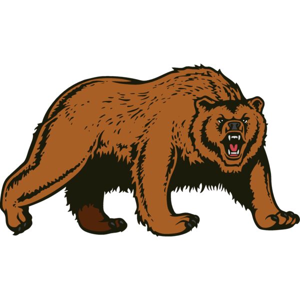 bear74 Thumbnail