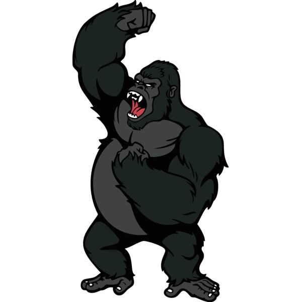 gorilla6 Thumbnail