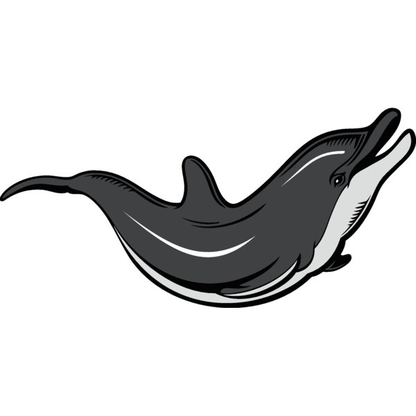 dolphin07 Thumbnail