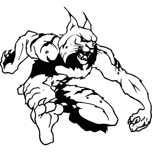 bobcat4 Thumbnail