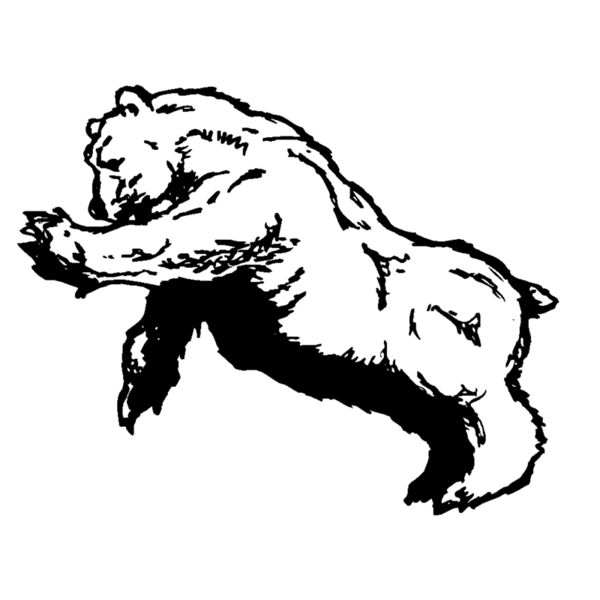 bear76 Thumbnail