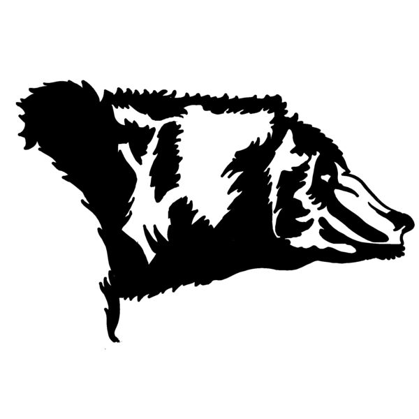 bear32 Thumbnail