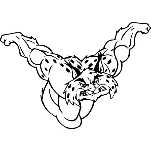 bobcat5 Thumbnail