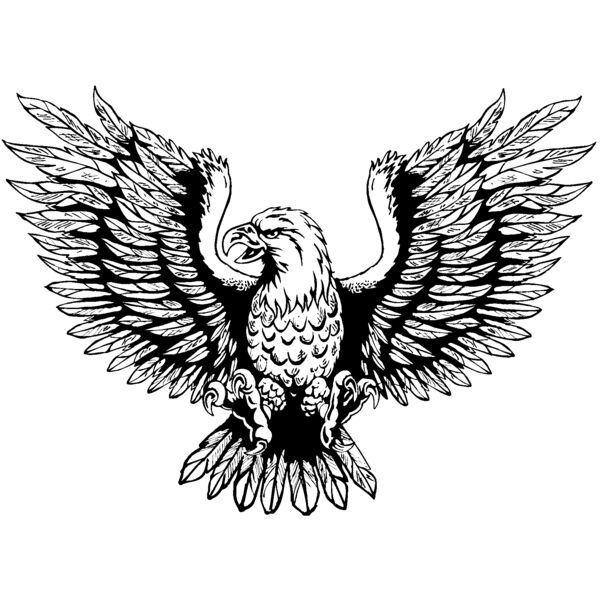 eagle18 Thumbnail