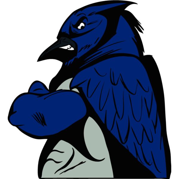 bluejay11 Thumbnail