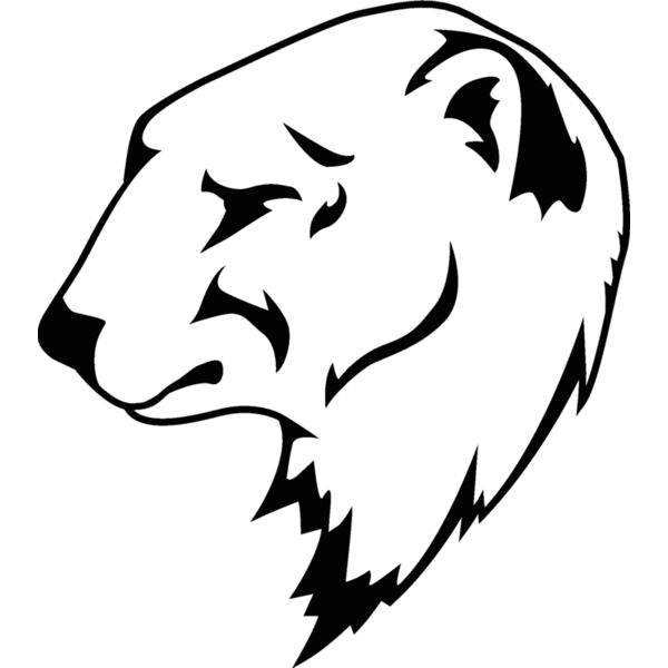 bear37 Thumbnail