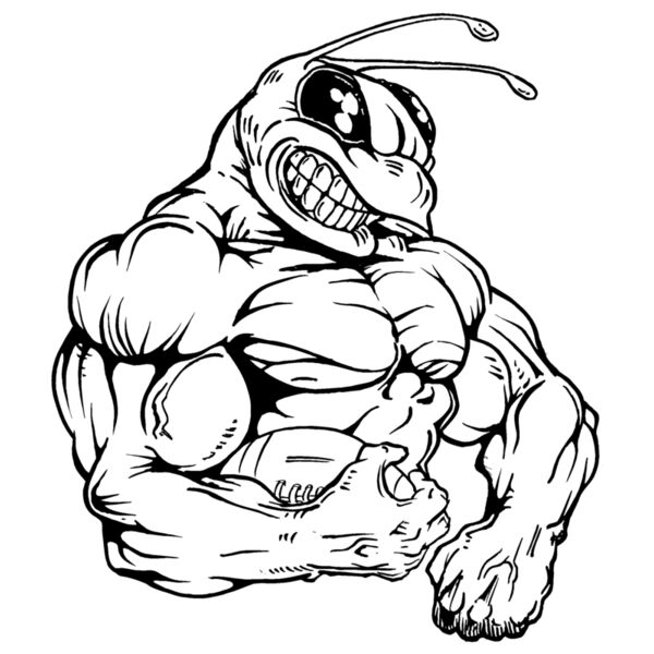 befb04 Thumbnail