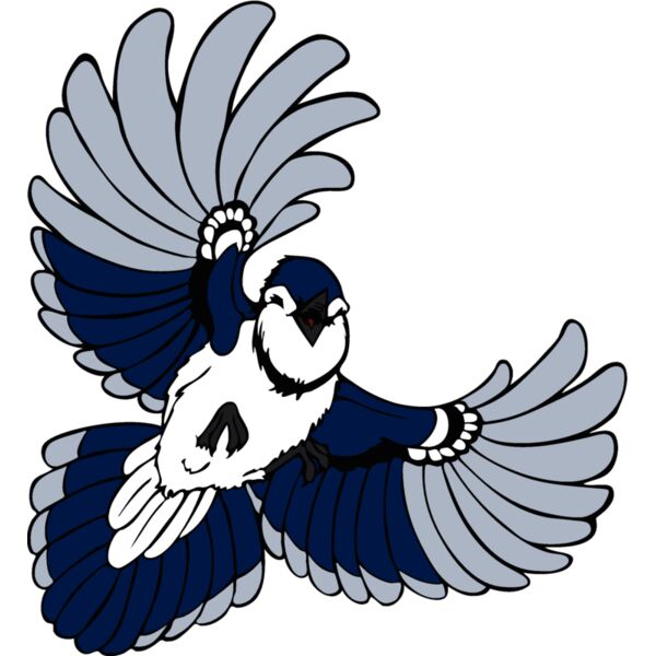 bluejay16 Thumbnail