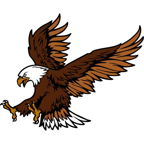 eagle01 Thumbnail