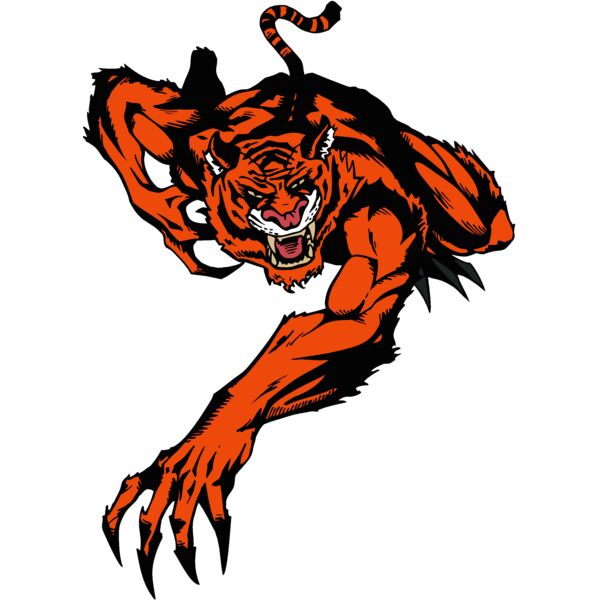 tiger3 Thumbnail