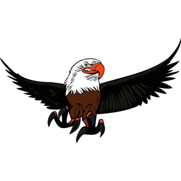 eagle4 Thumbnail