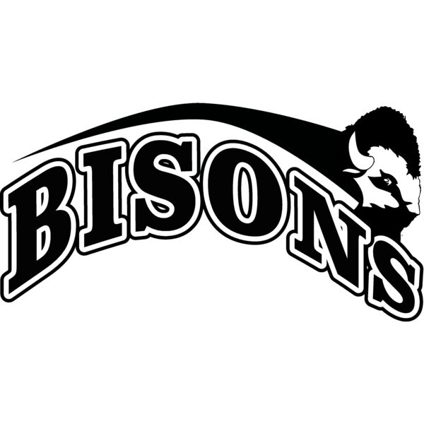 bison Thumbnail