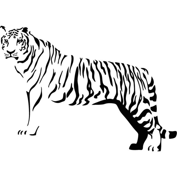 tiger24 Thumbnail