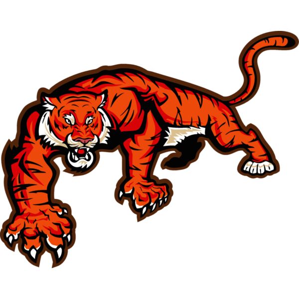 tigerj023 Thumbnail