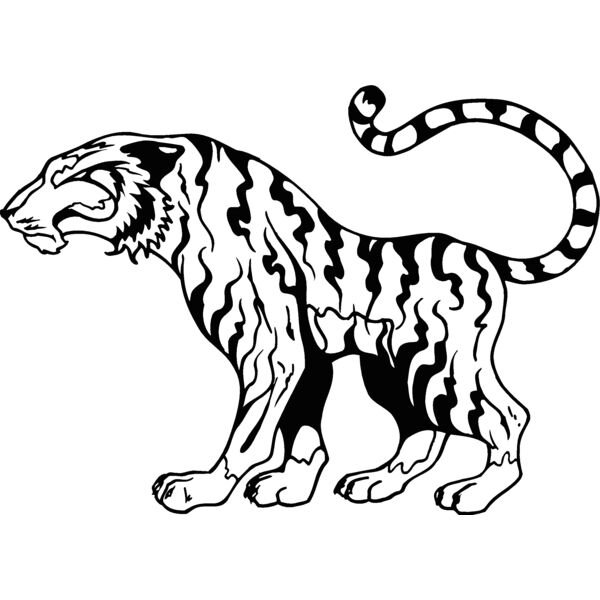 tiger18 Thumbnail