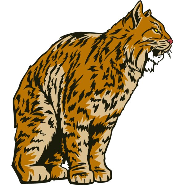 wildcat10 Thumbnail