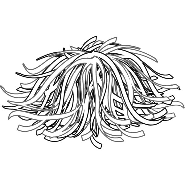 pompom5 Thumbnail