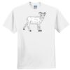 Everyone's Favorite T-Shirt for the Whole Family Thumbnail