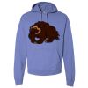 Unisex 7.2 oz., 80/20 Pullover Hood Sweatshirt Thumbnail